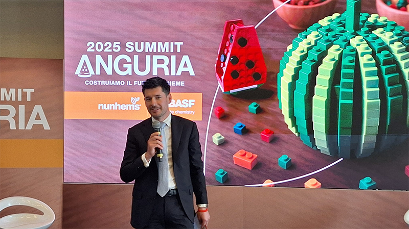 Matteo Bano, Area Sales Manager Nord Italia e referente Gdo BASF | Nunhems